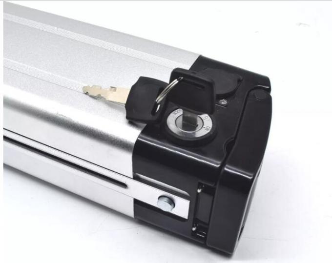 Silver Fish E-Type E Bike Battery 1000W 24V 36V 48V 10ah 15ah 20ah E-Scooter Battery Bicycle Battery 18650 Cell Downtube Akku Fur Elektrofahrraderfiets Accu